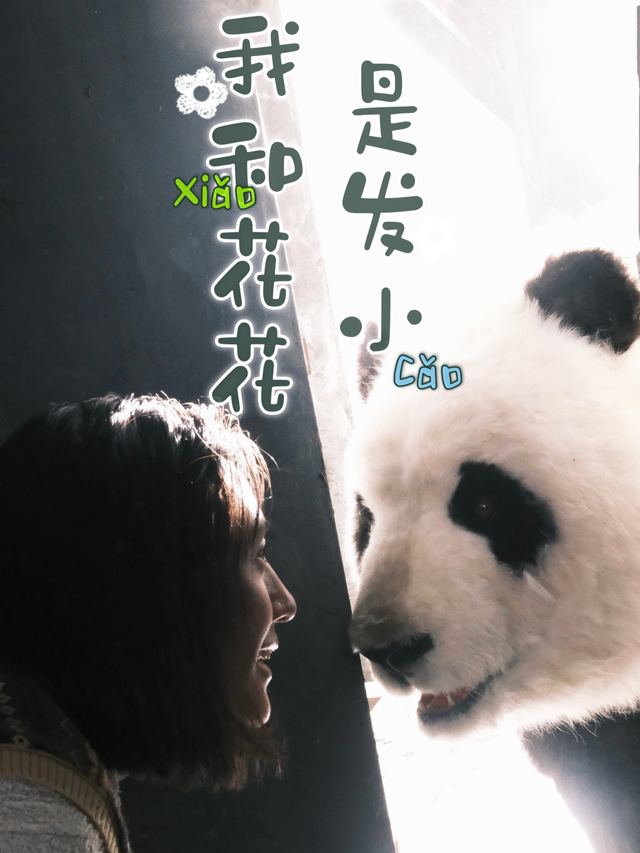 我和花花是发小封面