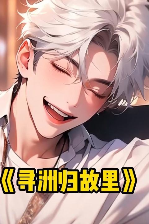 寻洲归故里封面