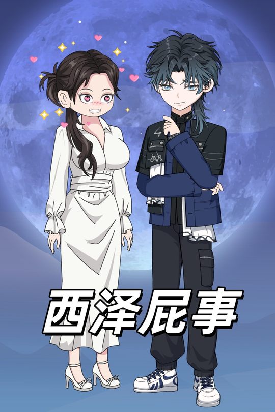 西泽屁事封面