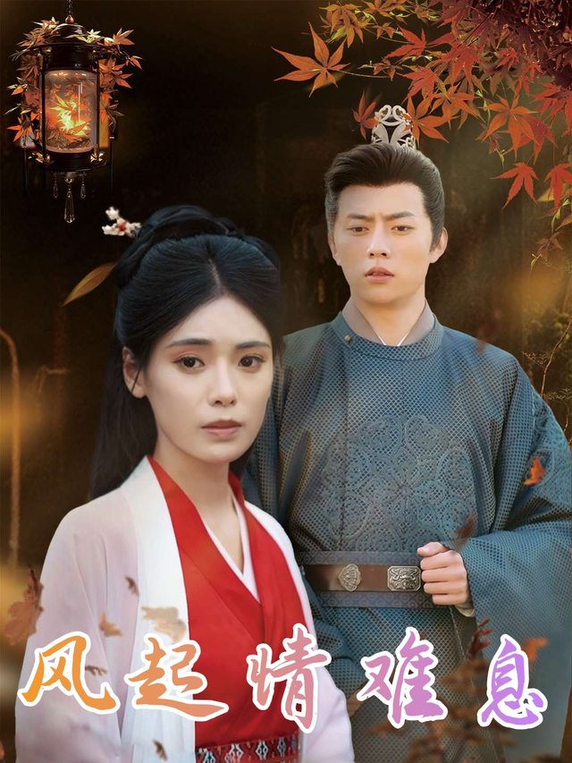 风起情难息封面