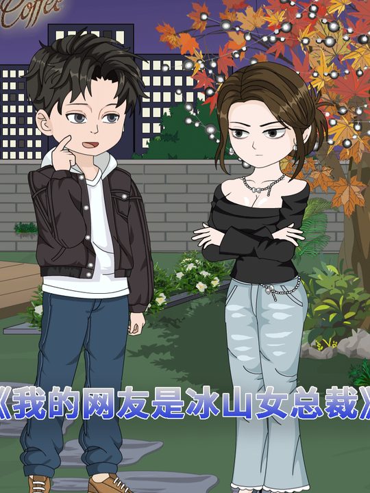 我的网友是冰山女总裁封面