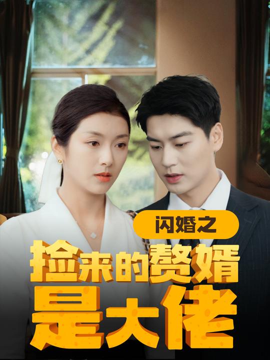 闪婚之捡来的赘婿是大佬封面