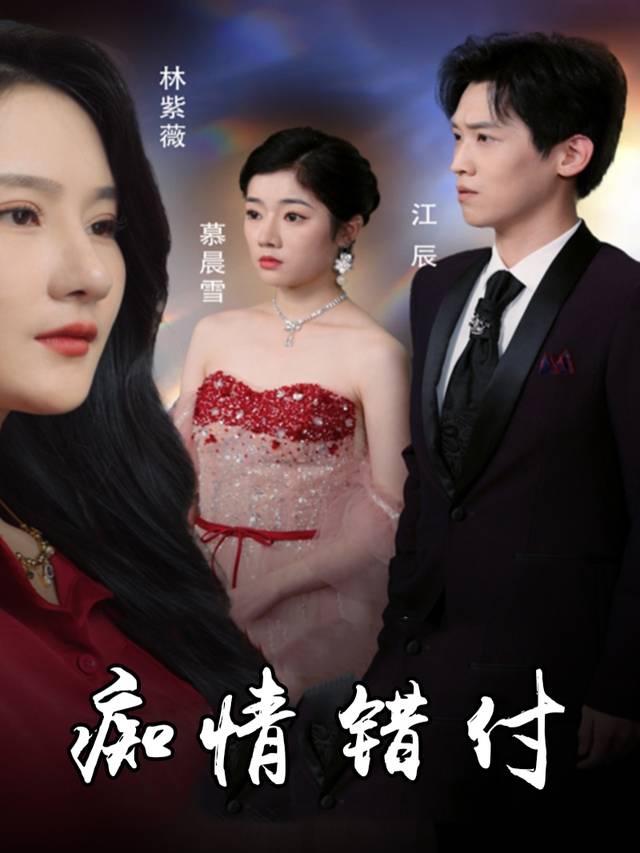 痴情错付封面