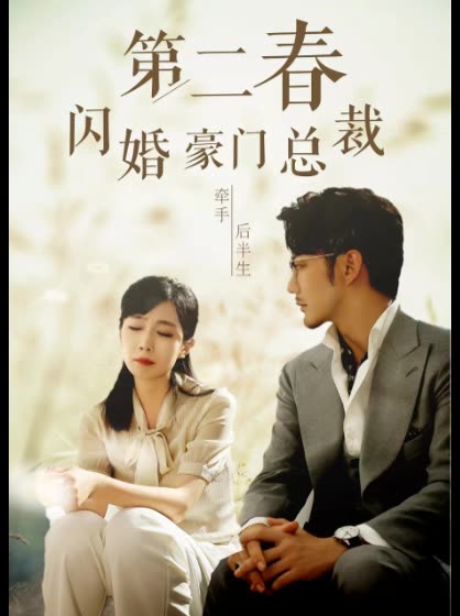 第二春闪婚豪门总裁封面