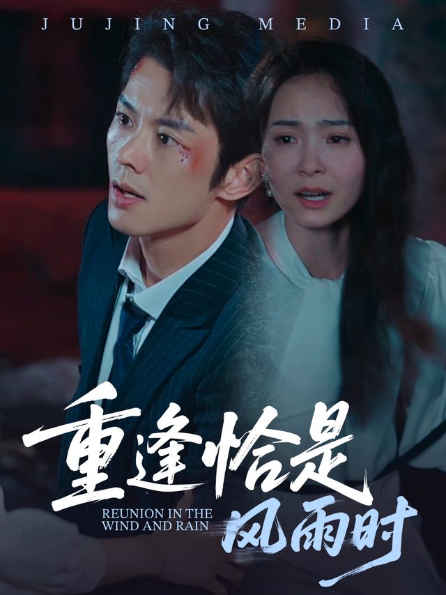 重逢恰是风雨时封面