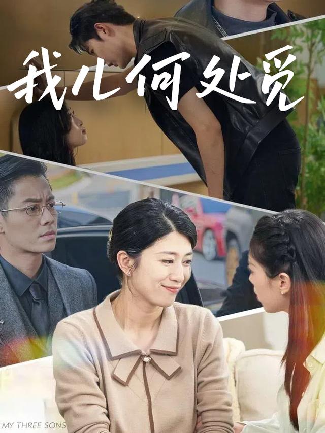 我儿何处觅封面