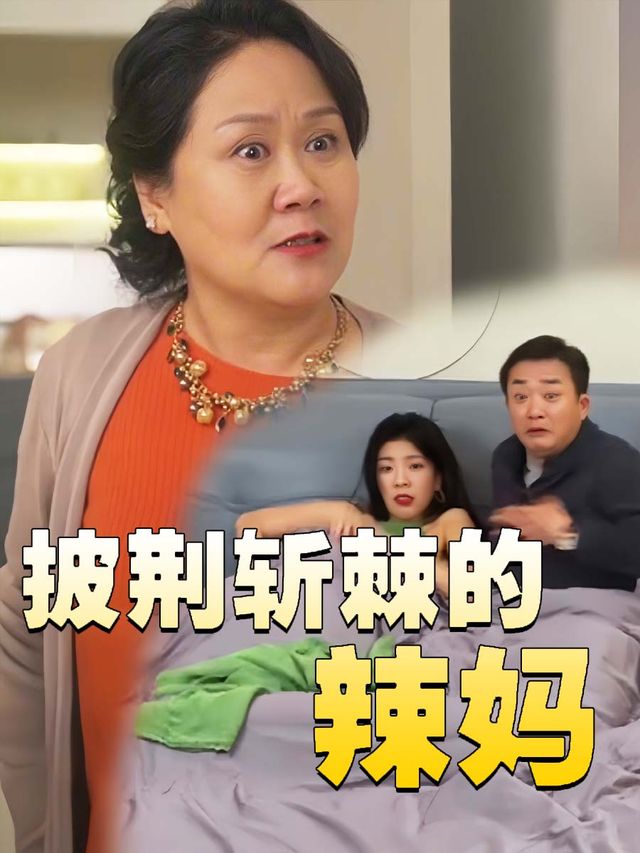 披荆斩棘的辣妈封面