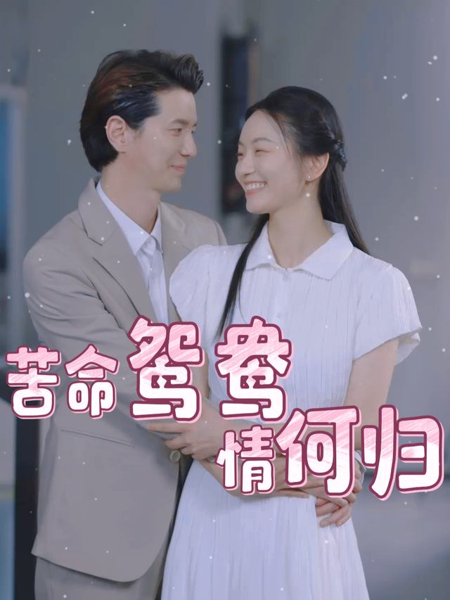 苦命鸳鸯情何归封面
