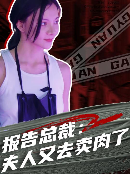 报告总裁:夫人又去卖肉了封面