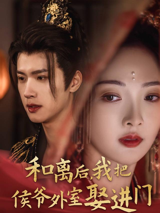 和离后，我把侯爷外室娶进门封面