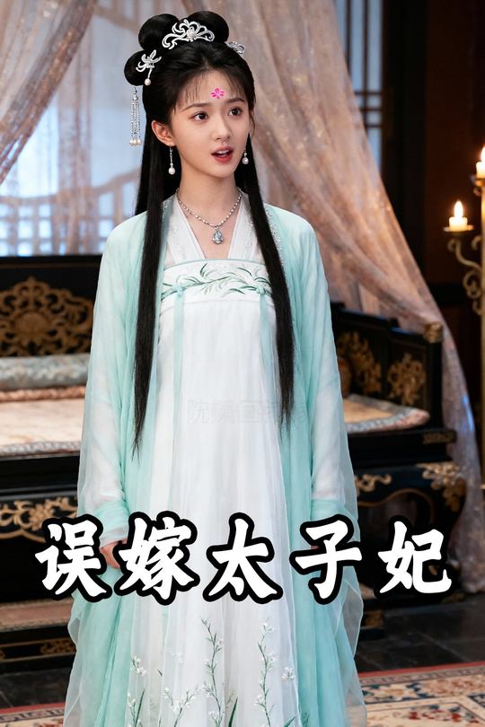 误嫁太子妃封面