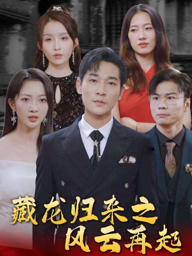 藏龙归来之风云再起封面