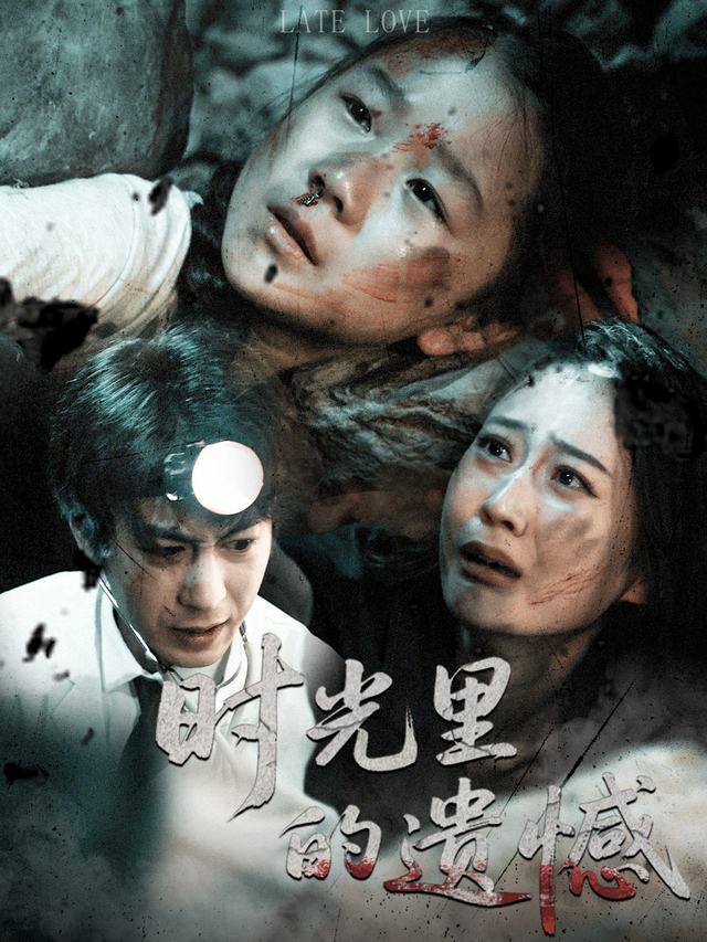 时光里的遗憾封面