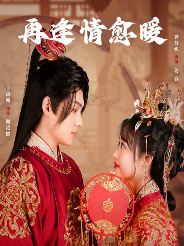 再逢情愈暖封面