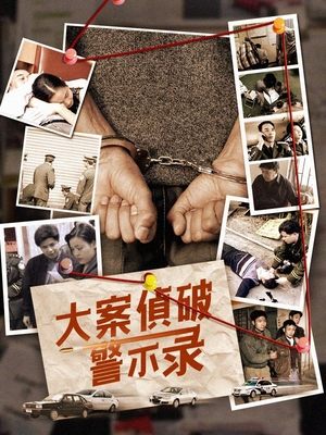 大案侦破警示录(下)封面