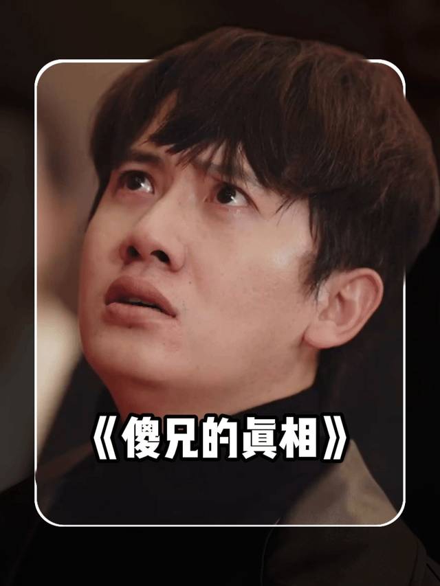 傻兄的真相封面