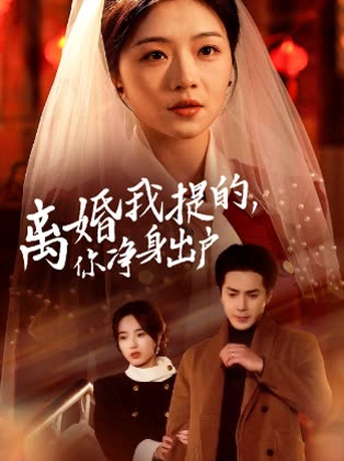 离婚我提的你净身出户封面