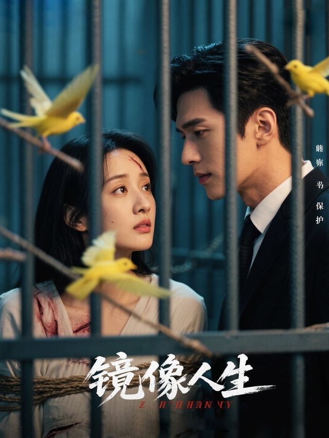 镜像人生封面