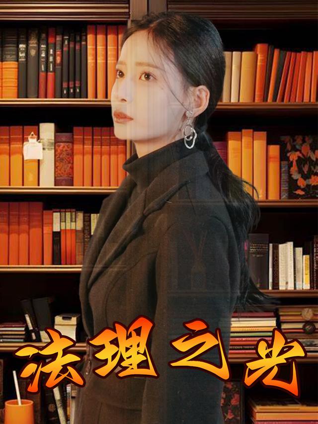 法理之光封面