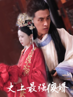 史上最强傻婿封面