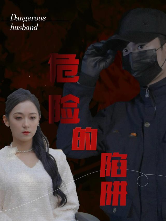 危险的陷阱封面
