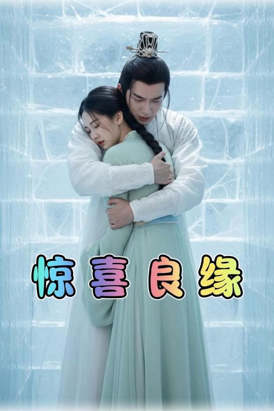 惊喜良缘封面