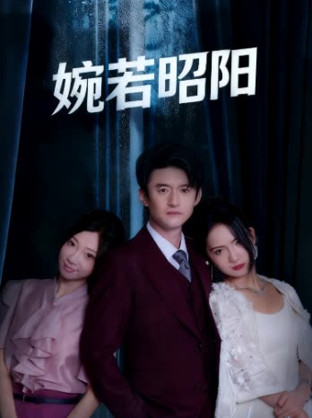 婉若昭阳封面