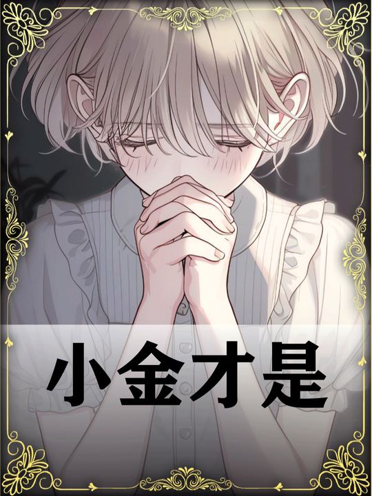 小金才是封面