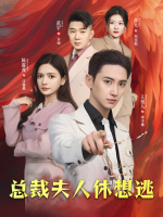 总裁夫人休想逃封面