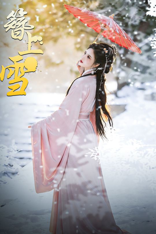 簪上雪封面