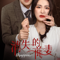 消失的前妻封面