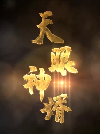 天眼神婿封面
