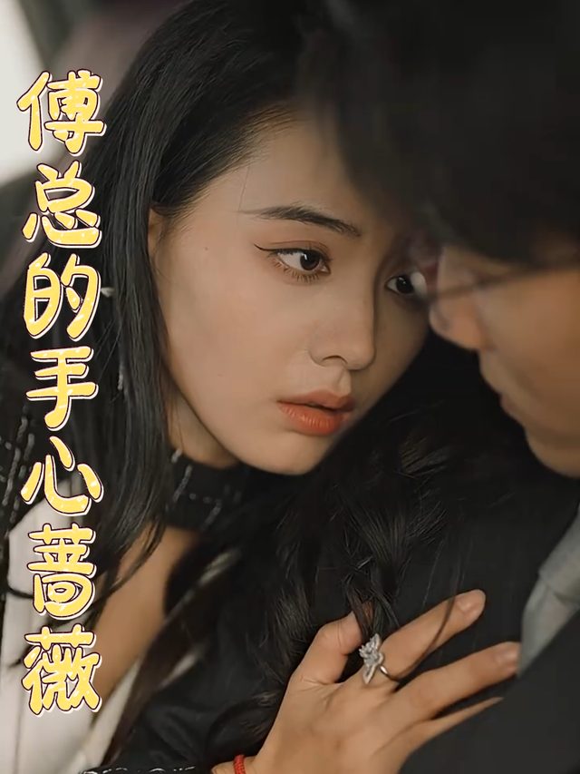 傅总的手心蔷薇封面