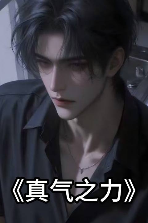 真气之力封面