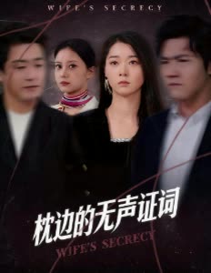 枕边的无声证词封面