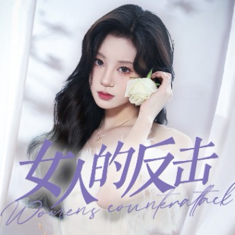 女人的反击封面