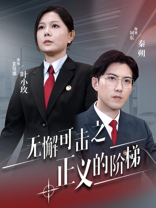无懈可击之正义的阶梯封面