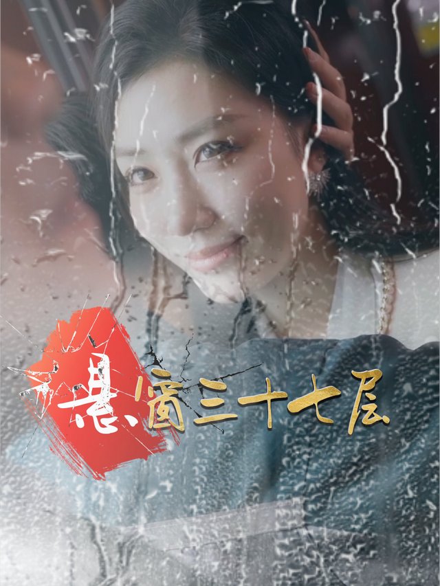 悬窗三十七层封面