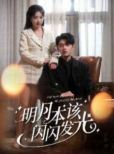 明月本该闪闪发光封面