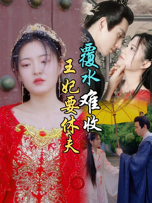 覆水难收:王妃要休夫封面
