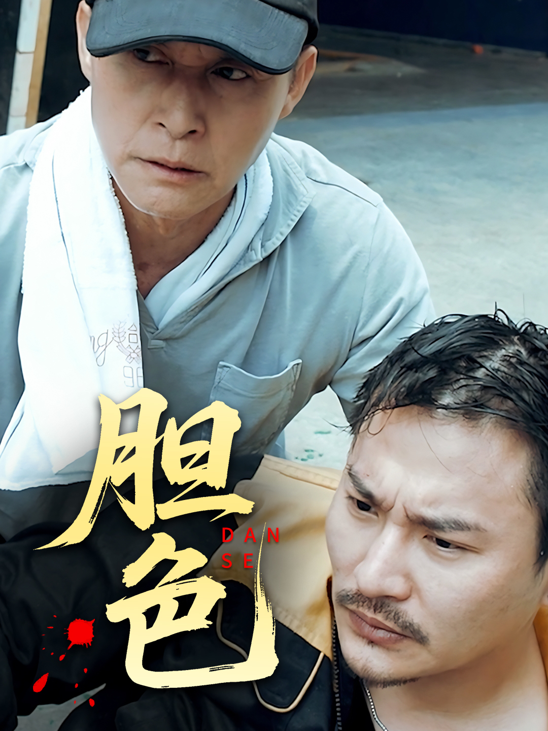胆色封面