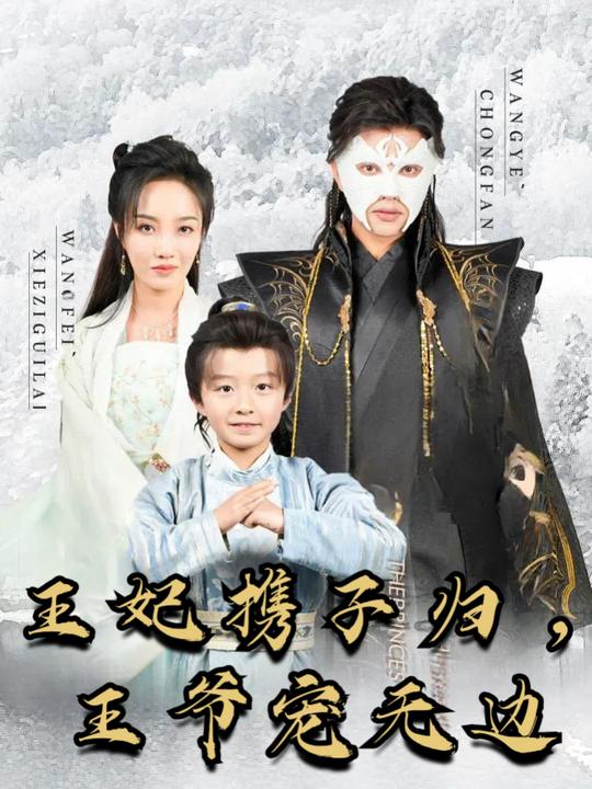 王妃携子归,王爷宠无边封面