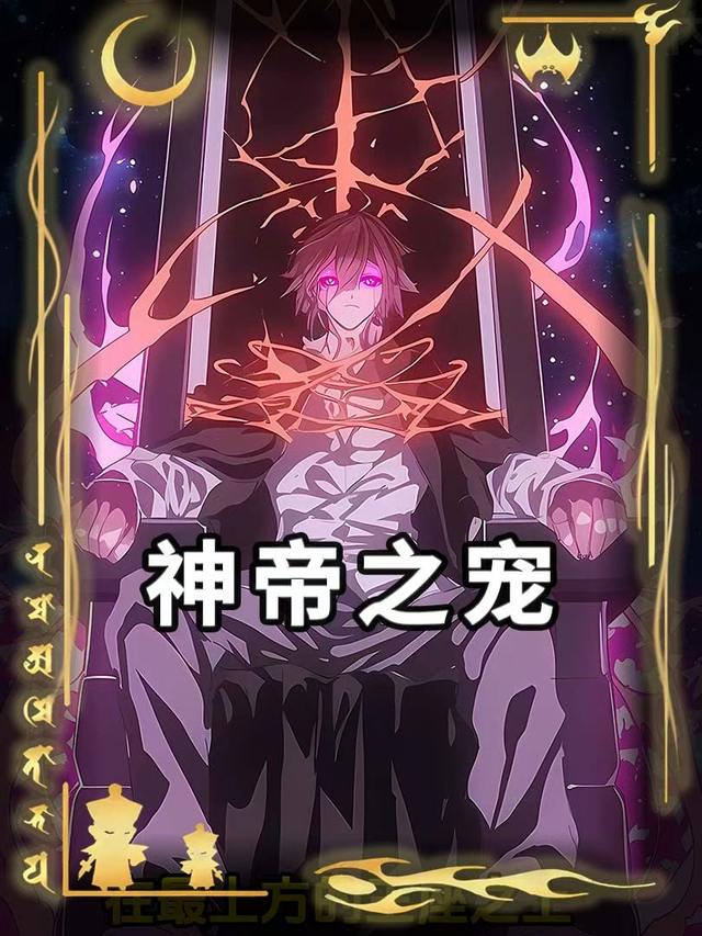 神帝之宠封面