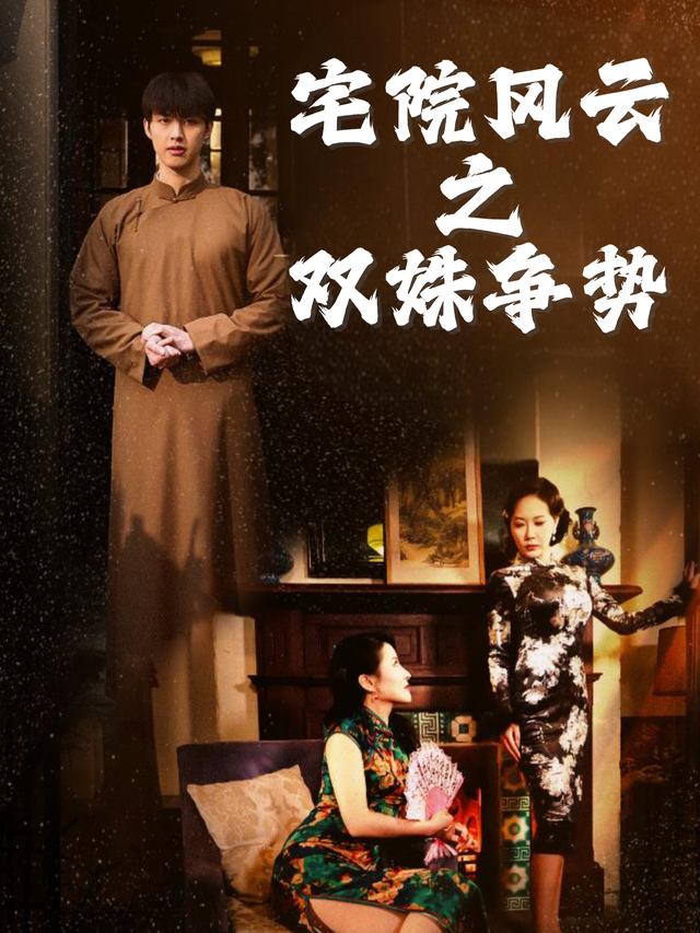 宅院风云之双姝争势封面