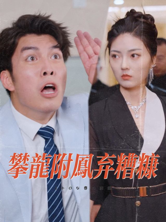 攀龙附凤弃糟糠封面