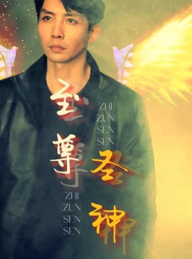 至尊圣神封面