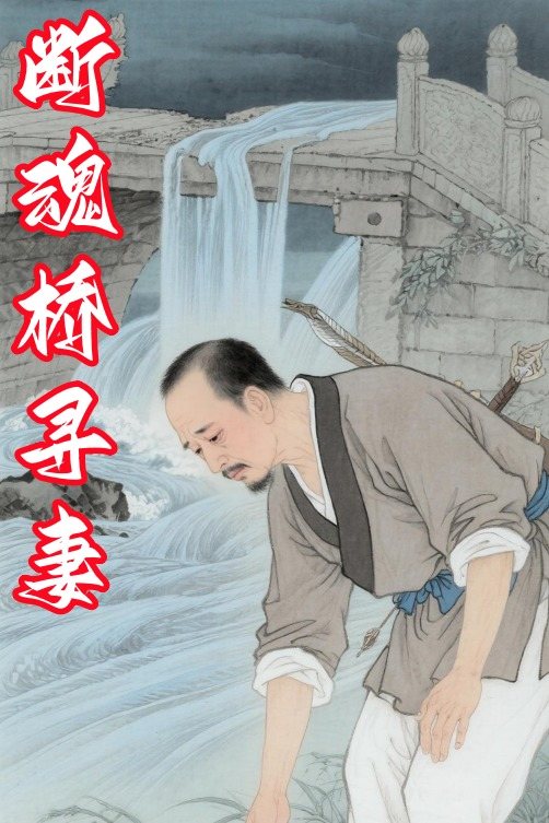 断魂桥寻妻封面