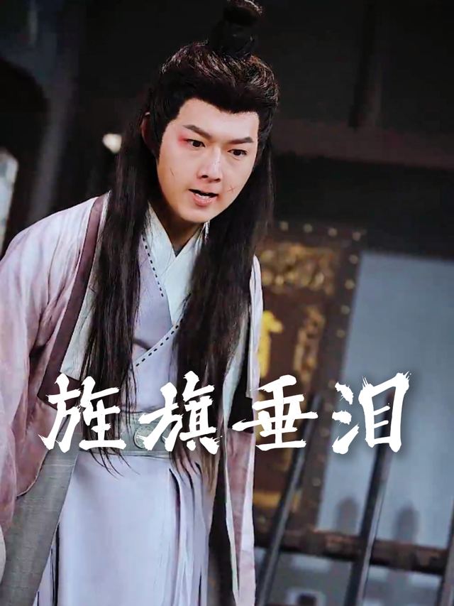 旌旗垂泪封面
