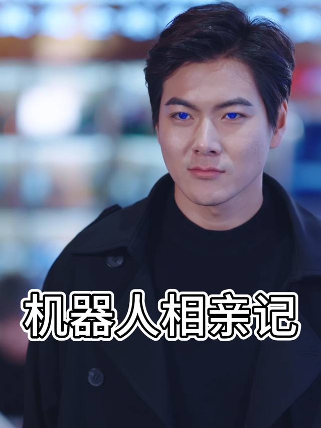 机器人相亲记封面
