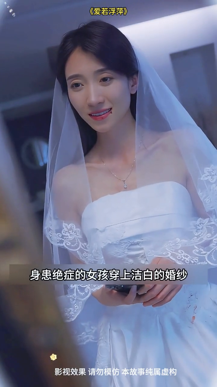 爱若浮萍封面